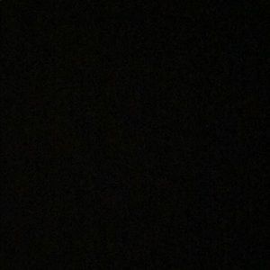 Meet your Posher, Cody